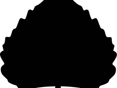 Bosque Brewing Co