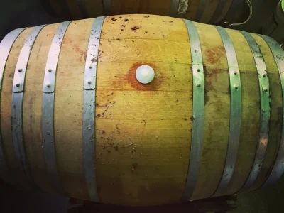 Middle Brow Beer Company