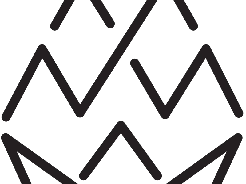 Bow and Arrow Brewing Co