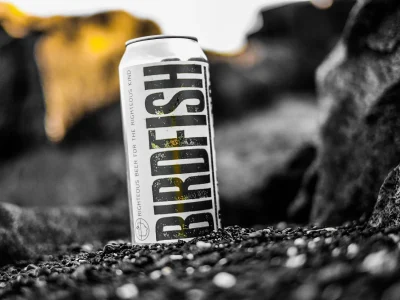 BirdFish Brewing Co