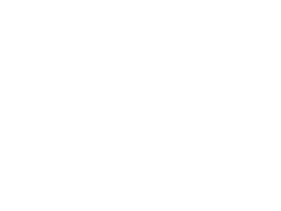 Alesatian Brewing Co.