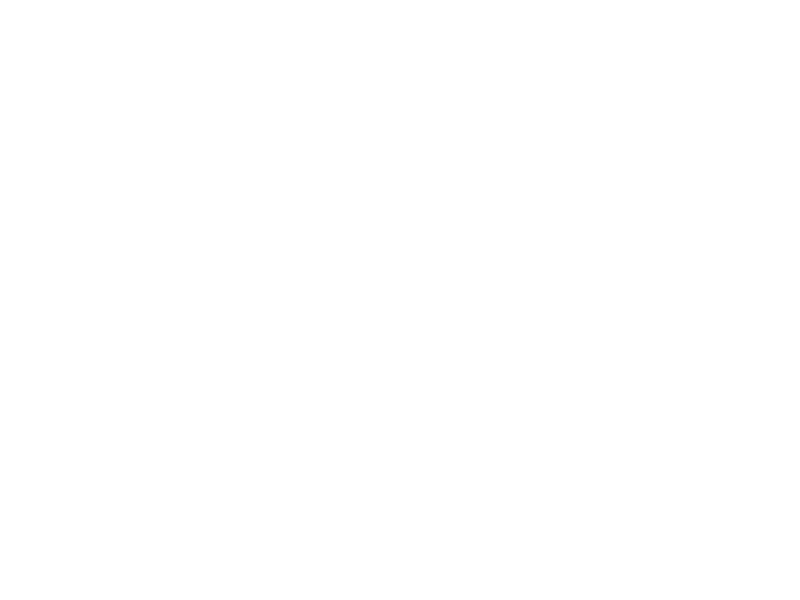 Alesatian Brewing Co.