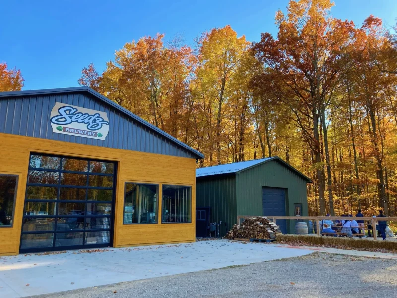 Seedz Brewery