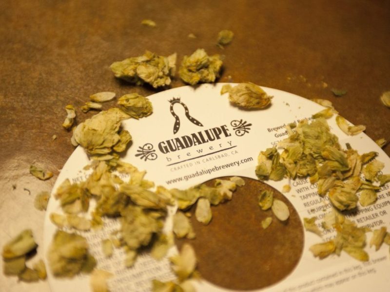 Guadalupe Brewery