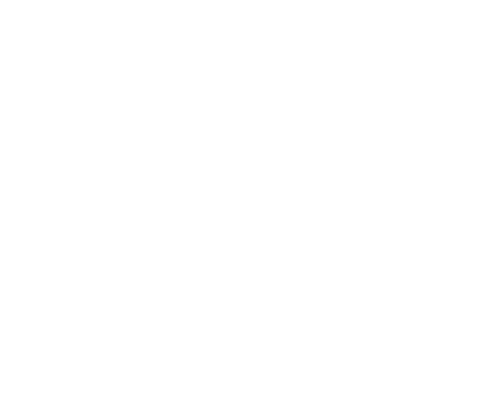 Zwei Brewing Co