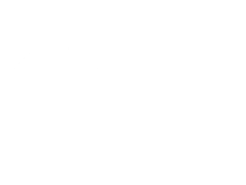 Logboat Brewing Co