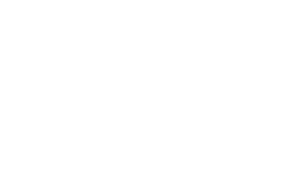 Lone Pine Brewing Company