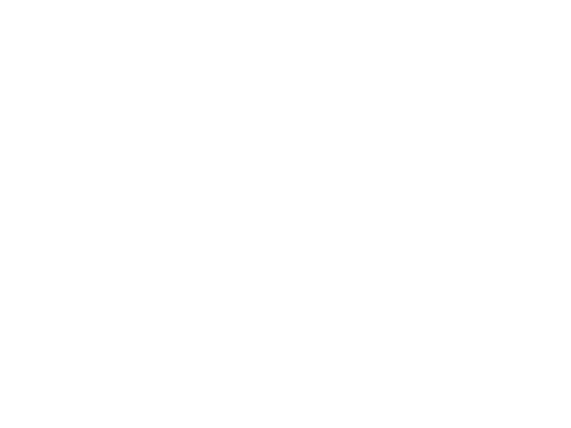 3 Iron Brewing Company