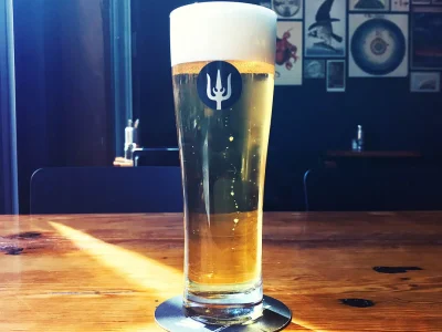Wayfinder Beer