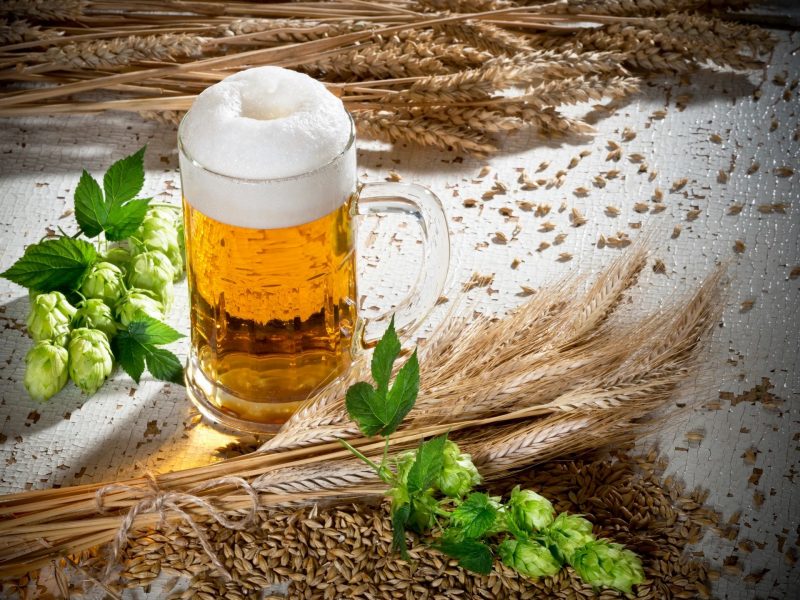 Hop Oast Pub & Brewery