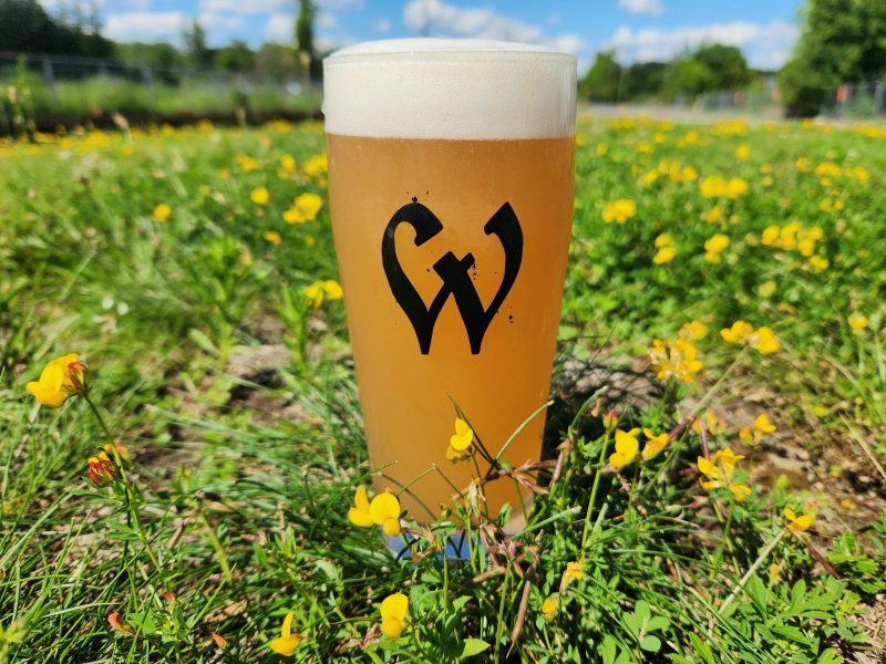 Witchdoctor Brewing Company