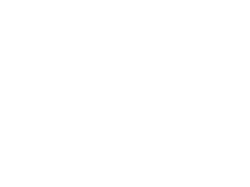 Lost Barrel Brewing